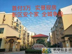 首付3萬，新區(qū)安個(gè)家